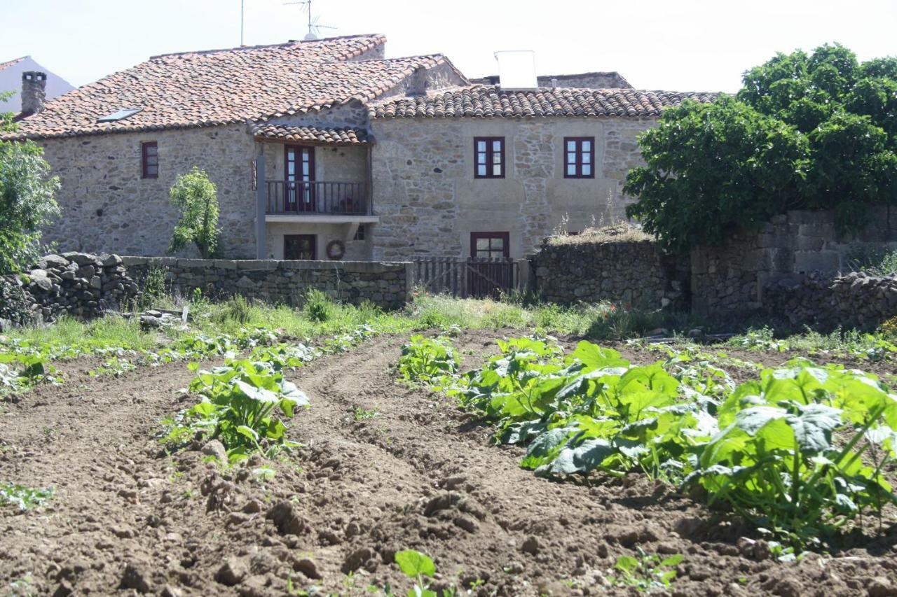 Casa De L Barrio Pensionat Picote Eksteriør billede